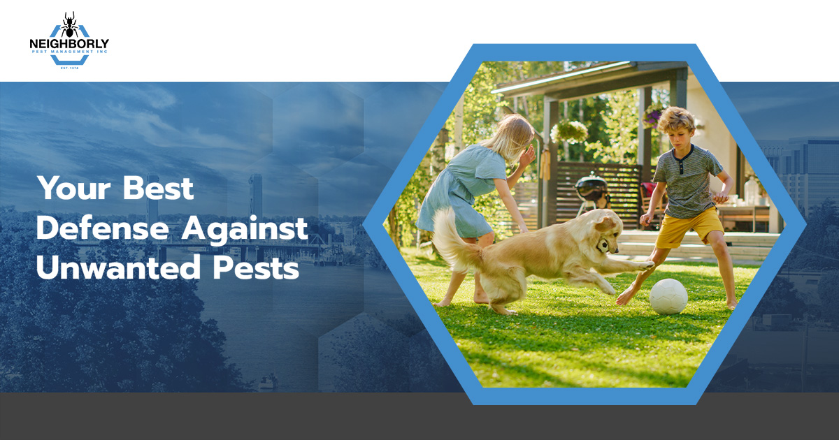 Roseville Pest Control | Neighborly Pest Management